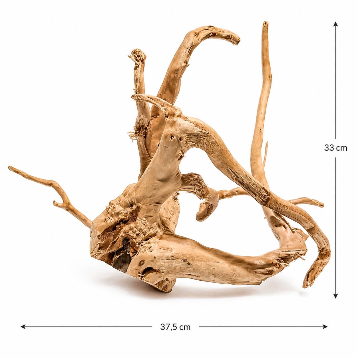 Radacina ornamentala acvariu LM15 5 Rădăcinile naturale pot fi folosite într-o mare varietate de acvarii inclusiv cele tropicale sau specifice unor biotopuri. Aceste avantaje fac din rădăcinile de lemn natural o alegere excelentă pentru orice acvariu, contribuind la crearea unui mediu sănătos și estetic pentru pești și plante.