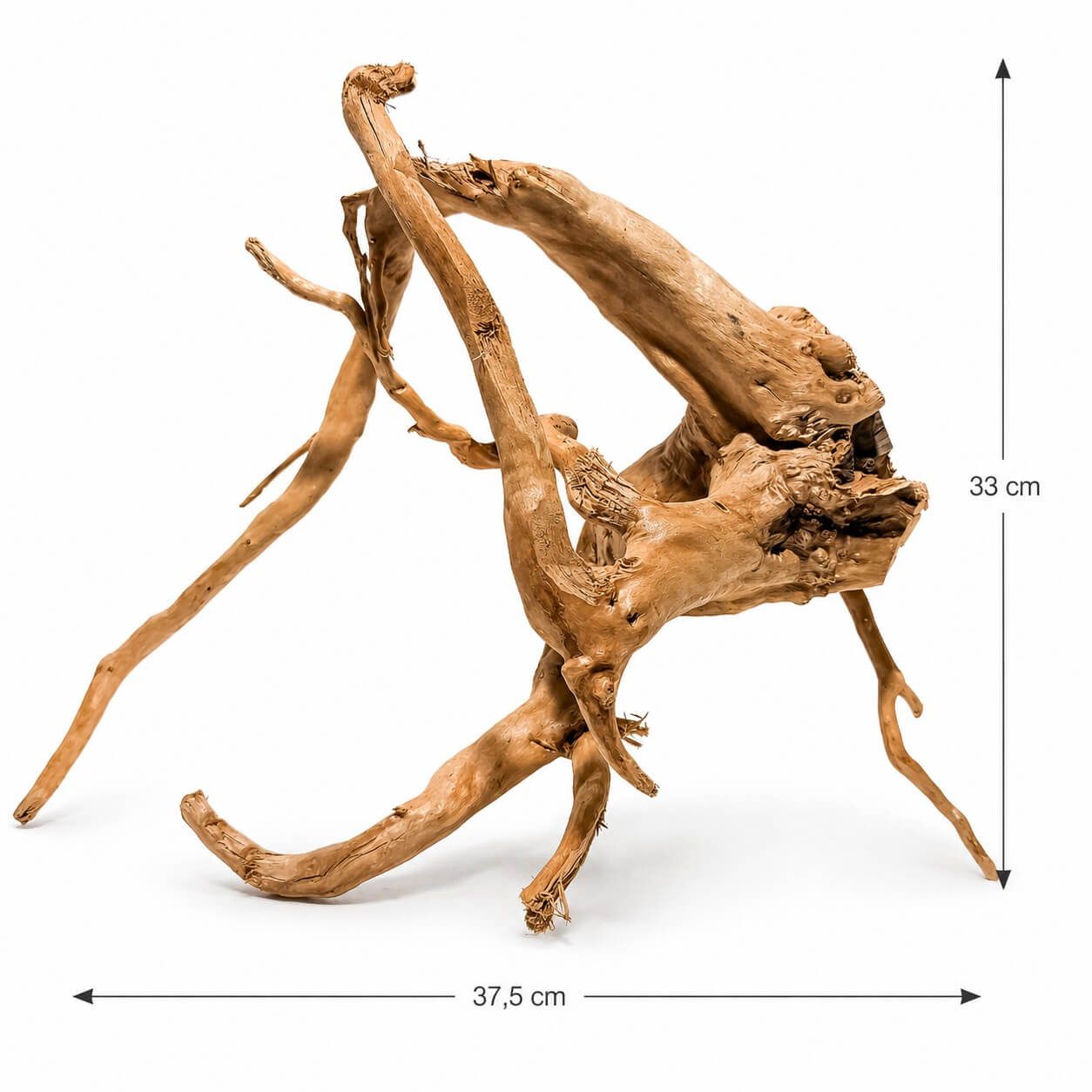 Radacina ornamentala acvariu LM15 2 Folosirea rădăcinilor de lemn natural în acvariu oferă mai multe avantaje semnificative, atât din punct de vedere estetic, cât și pentru sănătatea și bunăstarea locuitorilor acvariului: Aspect estetic natural: Aceasta radacina ornamentala acvariu adaugă un aspect autentic și estetic plăcut acvariului, recreând un mediu acvatic similar cu cel natural. Locuri ascunzătoare pentru pești: Multe specii de pești se simt mai în siguranță și mai confortabile având locuri unde se pot ascunde.