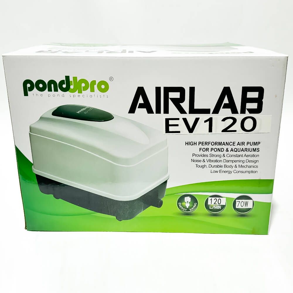 Aerator iaz profesional AIRLAB 120 l/min 11 Aerator iaz profesional AIRLAB 120 l/min, compresor aer acvarii, ideal pentru oxigenarea apei. Performanta superioara cu gen de pompe aer Hiblow. Compresor aer acvarii cu performanta inegalabila. Investeste in calitate si rezultate durabile! Aeratorul iaz profesional AIRLAB 120 l/min este solutia ideala pentru oxigenarea eficienta a apei in iazuri si acvarii. Cu un compresor aer acvarii de inalta performanta, acest produs asigura un flux constant de aer de 120 litri pe minut, fiind perfect pentru mentinerea sanatatii si vitalitatii vietuitoarelor acvatice. Acest aerator este echipat cu un motor electromagnetic puternic si fiabil, care functioneaza silentios, asigurand un mediu fara zgomot atat pentru pesti cat si pentru utilizatori. Designul robust si materialele durabile fac din AIRLAB o investitie de lunga durata, potrivita pentru orice tip de iaz sau acvariu. Instalarea si intretinerea aeratorului AIRLAB 120 l/min sunt extrem de simple, fiind compatibil cu prizele standard de alimentare. Datorita consumului redus de energie, acest compresor aer acvarii este o optiune economica si ecologica pentru proprietarii de iazuri si acvarii. Vine echipat cu accesorii de distribuire a aerului. Caracteristici principale: Debit ridicat: 120 l/min Motor puternic si fiabil Functionare silentioasa Usor de instalat si intretinut Consum redus de energie: 70 W Presiune: 0,048 Mpa Utilizari multiple: Aerare iazuri Aerare acvarii Aerare fose septice Folosind aeratorul iaz profesional AIRLAB 120 l/min aveti garantia ca vietuitoarele acvatice au parte de oxigenarea necesara! Acesta poate fi folosit si ca aerator iaz peste in sezonul cald, cand necesarul de oxigen creste odata cu temperatura apei. Avantaje: Aerare puternica si constanta Design ce reduce zgomotul si vibratiile Corp si mecanisme rezistente si durabile Excelent pentru volume mari de apa Aeratorul iaz profesional AIRLAB 120 l/min reprezinta alegerea perfecta pentru oricine doreste sa mentina un mediu acvatic sanatos si bine oxigenat.
