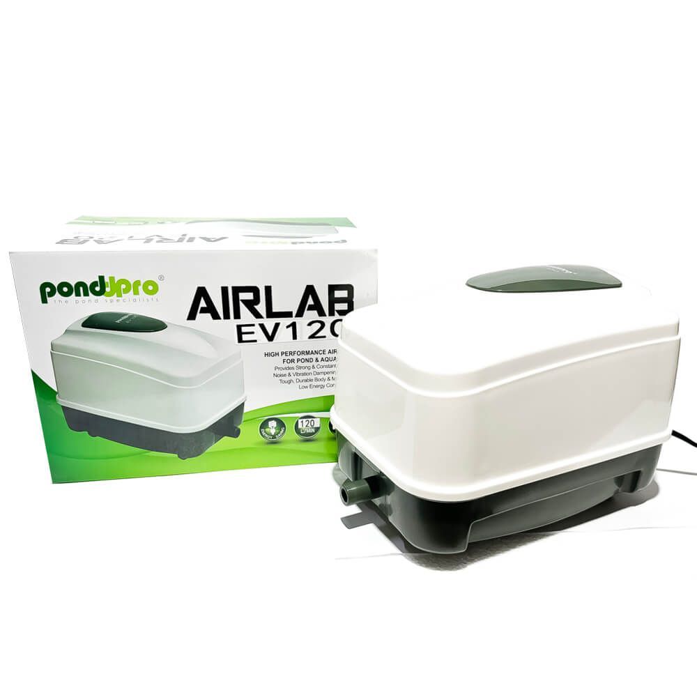 Aerator iaz profesional AIRLAB 120 l/min 12 Aerator iaz profesional AIRLAB 120 l/min, compresor aer acvarii, ideal pentru oxigenarea apei. Performanta superioara cu gen de pompe aer Hiblow. Compresor aer acvarii cu performanta inegalabila. Investeste in calitate si rezultate durabile! Aeratorul iaz profesional AIRLAB 120 l/min este solutia ideala pentru oxigenarea eficienta a apei in iazuri si acvarii. Cu un compresor aer acvarii de inalta performanta, acest produs asigura un flux constant de aer de 120 litri pe minut, fiind perfect pentru mentinerea sanatatii si vitalitatii vietuitoarelor acvatice. Acest aerator este echipat cu un motor electromagnetic puternic si fiabil, care functioneaza silentios, asigurand un mediu fara zgomot atat pentru pesti cat si pentru utilizatori. Designul robust si materialele durabile fac din AIRLAB o investitie de lunga durata, potrivita pentru orice tip de iaz sau acvariu. Instalarea si intretinerea aeratorului AIRLAB 120 l/min sunt extrem de simple, fiind compatibil cu prizele standard de alimentare. Datorita consumului redus de energie, acest compresor aer acvarii este o optiune economica si ecologica pentru proprietarii de iazuri si acvarii. Vine echipat cu accesorii de distribuire a aerului. Caracteristici principale: Debit ridicat: 120 l/min Motor puternic si fiabil Functionare silentioasa Usor de instalat si intretinut Consum redus de energie: 70 W Presiune: 0,048 Mpa Utilizari multiple: Aerare iazuri Aerare acvarii Aerare fose septice Folosind aeratorul iaz profesional AIRLAB 120 l/min aveti garantia ca vietuitoarele acvatice au parte de oxigenarea necesara! Acesta poate fi folosit si ca aerator iaz peste in sezonul cald, cand necesarul de oxigen creste odata cu temperatura apei. Avantaje: Aerare puternica si constanta Design ce reduce zgomotul si vibratiile Corp si mecanisme rezistente si durabile Excelent pentru volume mari de apa Aeratorul iaz profesional AIRLAB 120 l/min reprezinta alegerea perfecta pentru oricine doreste sa mentina un mediu acvatic sanatos si bine oxigenat.