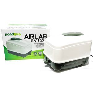 Aerator iaz profesional AIRLAB 120 l/min, compresor aer acvarii, ideal pentru oxigenarea apei. Performanta superioara cu gen de pompe aer Hiblow. Compresor aer acvarii cu performanta inegalabila. Investeste in calitate si rezultate durabile! Aeratorul iaz profesional AIRLAB 120 l/min este solutia ideala pentru oxigenarea eficienta a apei in iazuri si acvarii. Cu un compresor aer acvarii de inalta performanta, acest produs asigura un flux constant de aer de 120 litri pe minut, fiind perfect pentru mentinerea sanatatii si vitalitatii vietuitoarelor acvatice. Acest aerator este echipat cu un motor electromagnetic puternic si fiabil, care functioneaza silentios, asigurand un mediu fara zgomot atat pentru pesti cat si pentru utilizatori. Designul robust si materialele durabile fac din AIRLAB o investitie de lunga durata, potrivita pentru orice tip de iaz sau acvariu. Instalarea si intretinerea aeratorului AIRLAB 120 l/min sunt extrem de simple, fiind compatibil cu prizele standard de alimentare. Datorita consumului redus de energie, acest compresor aer acvarii este o optiune economica si ecologica pentru proprietarii de iazuri si acvarii. Vine echipat cu accesorii de distribuire a aerului. Caracteristici principale: Debit ridicat: 120 l/min Motor puternic si fiabil Functionare silentioasa Usor de instalat si intretinut Consum redus de energie: 70 W Presiune: 0,048 Mpa Utilizari multiple: Aerare iazuri Aerare acvarii Aerare fose septice Folosind aeratorul iaz profesional AIRLAB 120 l/min aveti garantia ca vietuitoarele acvatice au parte de oxigenarea necesara! Acesta poate fi folosit si ca aerator iaz peste in sezonul cald, cand necesarul de oxigen creste odata cu temperatura apei. Avantaje: Aerare puternica si constanta Design ce reduce zgomotul si vibratiile Corp si mecanisme rezistente si durabile Excelent pentru volume mari de apa Aeratorul iaz profesional AIRLAB 120 l/min reprezinta alegerea perfecta pentru oricine doreste sa mentina un mediu acvatic sanatos si bine oxigenat.