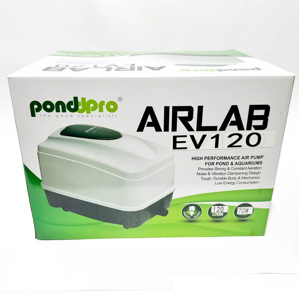 Aerator iaz profesional AIRLAB 120 l/min 3 Aerator iaz profesional AIRLAB 120 l/min, compresor aer acvarii, ideal pentru oxigenarea apei. Performanta superioara cu gen de pompe aer Hiblow. Compresor aer acvarii cu performanta inegalabila. Investeste in calitate si rezultate durabile! Aeratorul iaz profesional AIRLAB 120 l/min este solutia ideala pentru oxigenarea eficienta a apei in iazuri si acvarii. Cu un compresor aer acvarii de inalta performanta, acest produs asigura un flux constant de aer de 120 litri pe minut, fiind perfect pentru mentinerea sanatatii si vitalitatii vietuitoarelor acvatice. Acest aerator este echipat cu un motor electromagnetic puternic si fiabil, care functioneaza silentios, asigurand un mediu fara zgomot atat pentru pesti cat si pentru utilizatori. Designul robust si materialele durabile fac din AIRLAB o investitie de lunga durata, potrivita pentru orice tip de iaz sau acvariu. Instalarea si intretinerea aeratorului AIRLAB 120 l/min sunt extrem de simple, fiind compatibil cu prizele standard de alimentare. Datorita consumului redus de energie, acest compresor aer acvarii este o optiune economica si ecologica pentru proprietarii de iazuri si acvarii. Vine echipat cu accesorii de distribuire a aerului. Caracteristici principale: Debit ridicat: 120 l/min Motor puternic si fiabil Functionare silentioasa Usor de instalat si intretinut Consum redus de energie: 70 W Presiune: 0,048 Mpa Utilizari multiple: Aerare iazuri Aerare acvarii Aerare fose septice Folosind aeratorul iaz profesional AIRLAB 120 l/min aveti garantia ca vietuitoarele acvatice au parte de oxigenarea necesara! Acesta poate fi folosit si ca aerator iaz peste in sezonul cald, cand necesarul de oxigen creste odata cu temperatura apei. Avantaje: Aerare puternica si constanta Design ce reduce zgomotul si vibratiile Corp si mecanisme rezistente si durabile Excelent pentru volume mari de apa Aeratorul iaz profesional AIRLAB 120 l/min reprezinta alegerea perfecta pentru oricine doreste sa mentina un mediu acvatic sanatos si bine oxigenat.