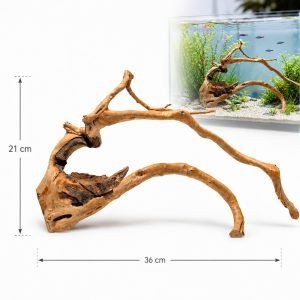 Lemn acvariu natural TW04 este ideal pentru un decor autentic si sanatos. Red Moor Wood cu forme spectaculoase, perfect pentru amenajare acvariu si sigur ca lemn acvariu.