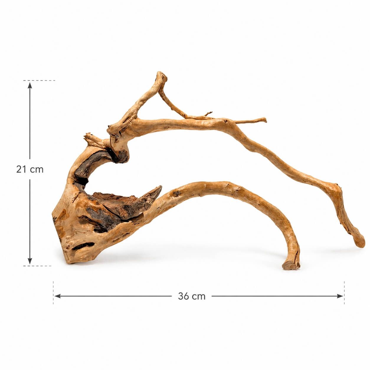 Lemn acvariu natural TW04 3 Lemn acvariu natural model TW04 este realizat din red moor wood tratat. Element esential pentru amenajare acvariu moderna, fiind un lemn acvariu de calitate si sigur pentru pesti.