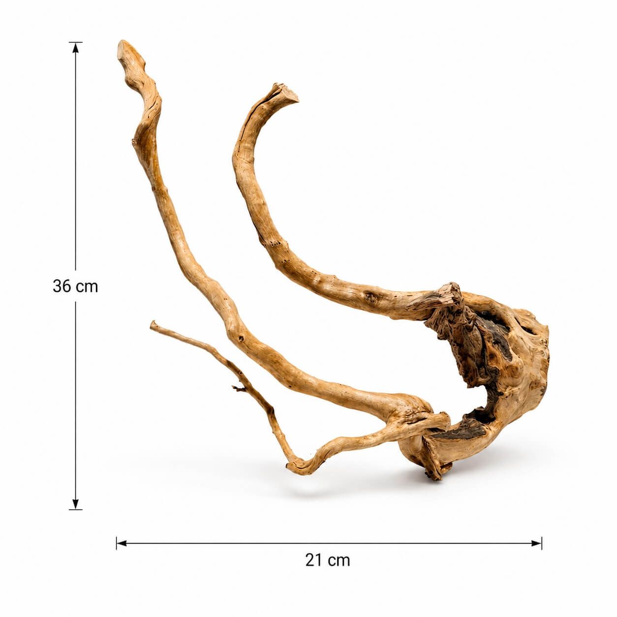 Lemn acvariu natural TW04 4 Lemn acvariu natural TW04 este solutia perfecta pentru un design natural. Red Moor Wood autentic, folosit in orice amenajare acvariu pentru un lemn acvariu stabil si estetic.