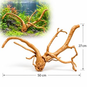 Radacina Red Moor acvariu cu foto proprie TW08, 50 cm lungime si 27 cm inaltime, prezentata cu aplicatie in acvariu