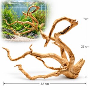 Radacini de lemn decor acvariu Twinty Wood TW01, 42 x 26 cm, cu exemplu de amenajare intr-un acvariu plantat