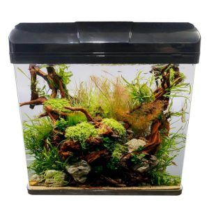 Acvariu LED cu capac negru 29 litri,un acvariu sticla clara pentru pesti. Acvariu cu filtrare eficienta, perfect pentru un acvariu 29 litri elegant. Acvariu iluminare LED cu capac negru 29 litri – Acvariu pesti deosebit Acvariul LED cu capac negru 29 litri este solutia perfecta pentru pasionatii de acvarii, oferind un habitat ce ofera bune conditii pentru pesti si pentru plantele acvatice. Acvariul este fabricat din sticla clara. Acest acvariu de 29 litri impresioneaza prin designul sau elegant si functionalitatea sa exceptionala. Caracteristici: Acvariu LED cu capac negru 29 litri: Acest acvariu este echipat cu un capac din plastic de culoare neagra rabatabil, asigurand un acces facil la acvariu si un aspect modern. Iluminarea LED cu 8 leduri (4 albe si 4 albastre) ofera o lumina compozita ideala pentru a evidentia culorile pestilor si plantelor din interior. Este un tip de lumina placuta, suficienta ca intensitate cum alte acvarii de acest gen nu o au. Acvariu cu sticla clara: Sticla clara si muchiile frontale rotunjite permit o vizibilitate excelenta si o prezentare deosebita a interiorului acvariului dand o viziune panoramica per ansamblul acvariului. Sistem de filtrare eficient: Acvariul cu filtrare “on top” compacta are o putere de 7W si un debit de 450 litri/ora, asigurand o filtrare bio-mecanica superioara. Materialul filtrant din pasla filtranta este inclus garanteaza o apa curata si sanatoasa pentru pestii dumneavoastra. Dimensiuni: Exterioare: 35,5 cm (L) x 21,5 cm (l) x 38 cm (h) Interioare: 33,7 cm (L) x 19,8 cm (l) x 38 cm (h) Grosime geam: 4 mm Volum si capacitate: Volum total: 29 litri Volum net: 20,68 litri de apa Acest acvariu de 29 litri este ideal pentru orice acvarist, fie incepator sau experimentat. Sistemul de iluminare LED poate fi conectat la o priza programabila, oferind flexibilitate maxima in setarile de lumina. Cu un design atragator si performante excelente, acvariul LED cu capac negru 29 litri va deveni rapid piesa centrala in orice casa sau birou. Alegerea perfecta pentru un acvariu sticla clara, un acvariu pesti de top, si un acvariu cu sistem de filtrare de calitate.