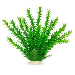 Plante mari artificiale de acvariu 40 cm Ludwigia verde, planta decorativa artificiala spectaculoasa din colectia noastra de plante artificiale – verde intens, baza ceramica stabila, ideală pentru cadre macro.