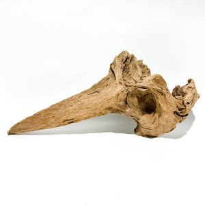 Radacina de mangrove model W03