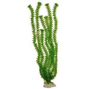 Planta artificiala acvariu CABOMBA 20 inci ( 50 cm )