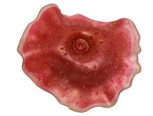 Decor recifal rosu pentru acvariu