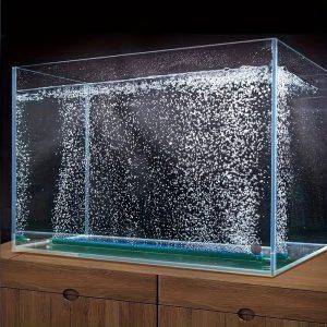 Perdea aerare pentru acvariu 60 cm – perdea de bule acvariu perfecta pentru oxigenare. Alege perdea oxigenare acvariu de calitate superioara!