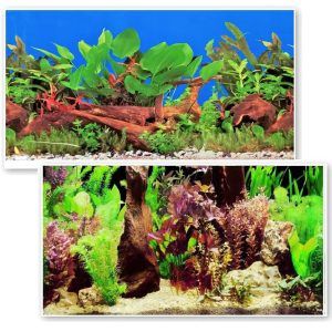 Vedere de ansamblu a unui background acvariu cu peisaj luxuriant, un fundal acvariu pe folie fundal acvariu durabila, care mentine culorile vii si transforma orice bazin intr-un spectacol natural.
