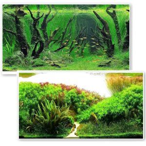 Fundal acvariu 2 fețe 50 cm X 1 metru model PS84-85-50cm