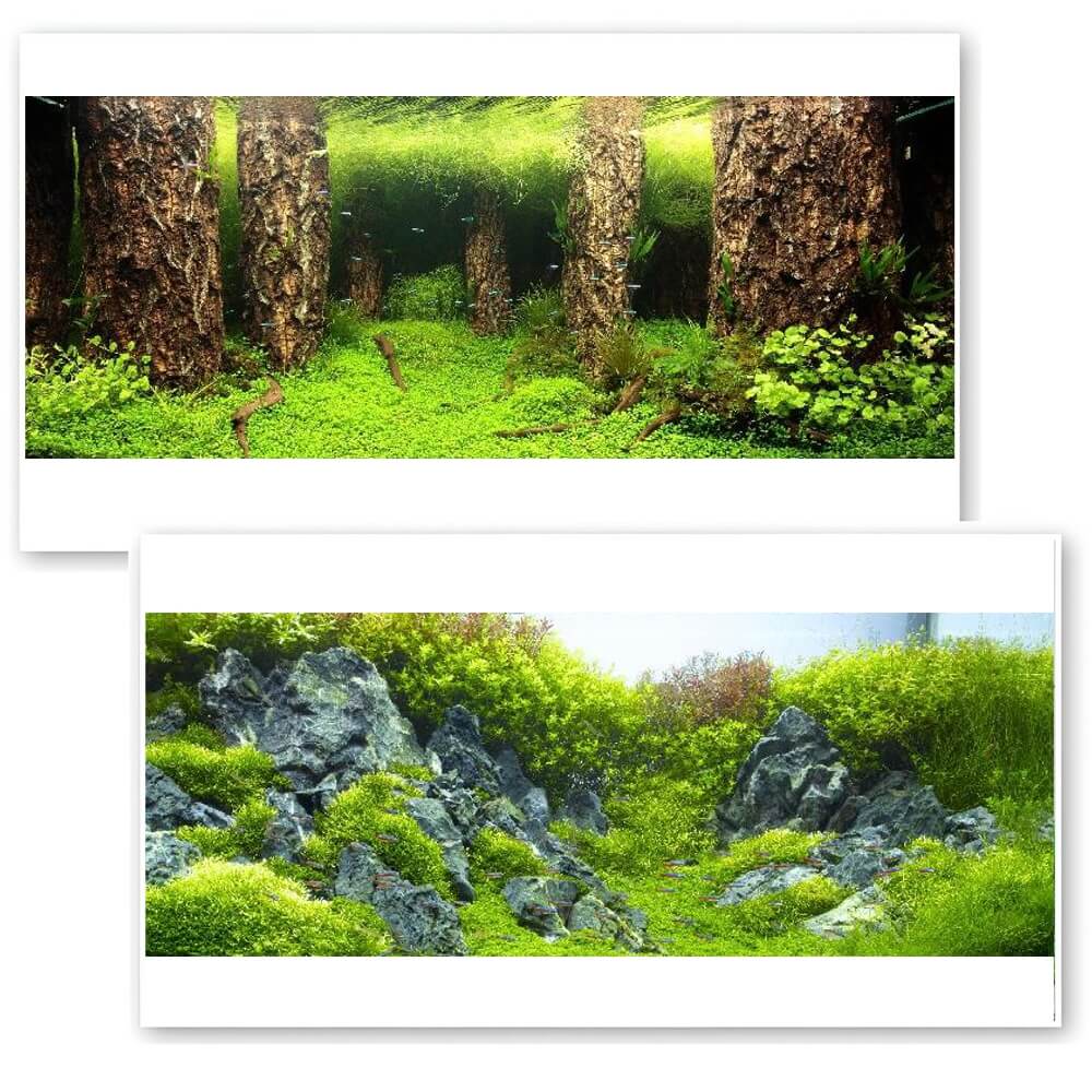 Fundal acvariu 3D background peisaj natural 100X70cm 1 Vedere de ansamblu cu Fundal acvariu 3D background redand stanci si vegetatie. Acest fundal acvariu functioneaza ca poster acvariu decorativ, putand fi aplicat drept colant acvariu pe geamul din spate, pentru un efect vizual impresionant si un habitat imbunatatit.