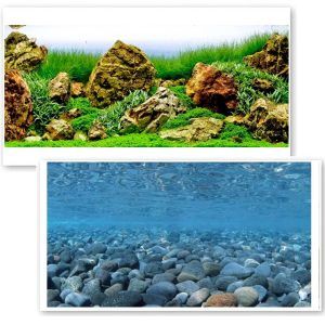 Imagine cu un fundal acvariu cu pesti dublu fata, stancile predominand in prim-plan; folie fundal acvariu rezistenta si un background acvariu care transforma acvariul intr-o zona naturala, completata de autocolant acvariu usor de aplicat.