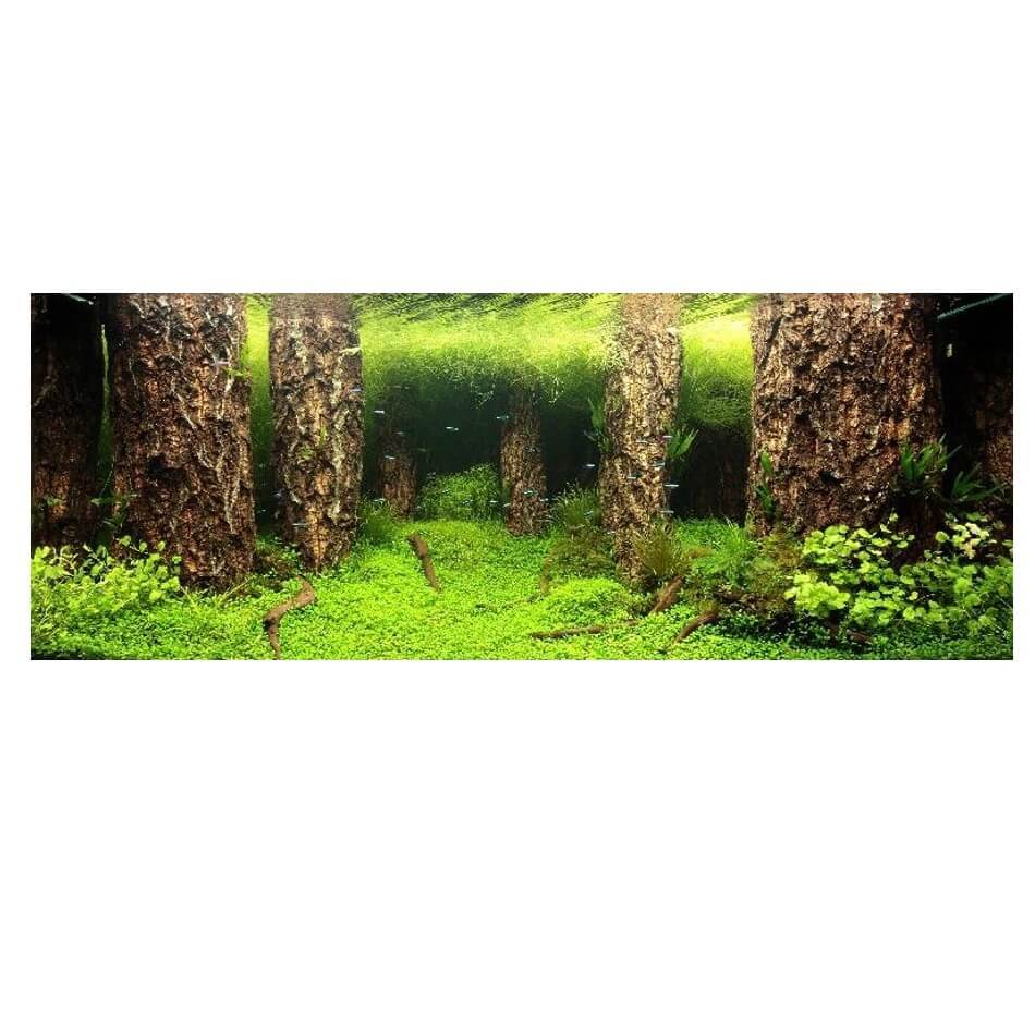 Fundal acvariu decor dublu subacvatic natural 100X100cm 3 Fundal acvariu perfect pentru a oferi un cadru natural si captivant in orice bazin. Folia fundal acvariu este confectionata dintr-un material durabil, astfel incat acest background acvariu sa nu isi piarda intensitatea culorilor in timp.