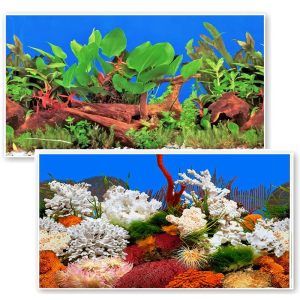 Vedere frontal a unui Fundal acvariu folie dublu coral/plante, un fundal acvariu tipic imprimat pe folie fundal acvariu, ideal ca background acvariu; autocolant acvariu 3d montat pe exterior pentru efecte vizuale autentice.