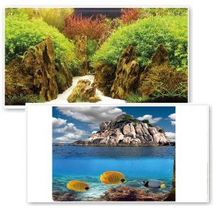 Stanci si vegetatie pe un Fundal acvariu pesti dublu fata, prezentand un fundal acvariu natural; folie fundal acvariu garanteaza un background acvariu 3D, folosit ca poster acvariu.