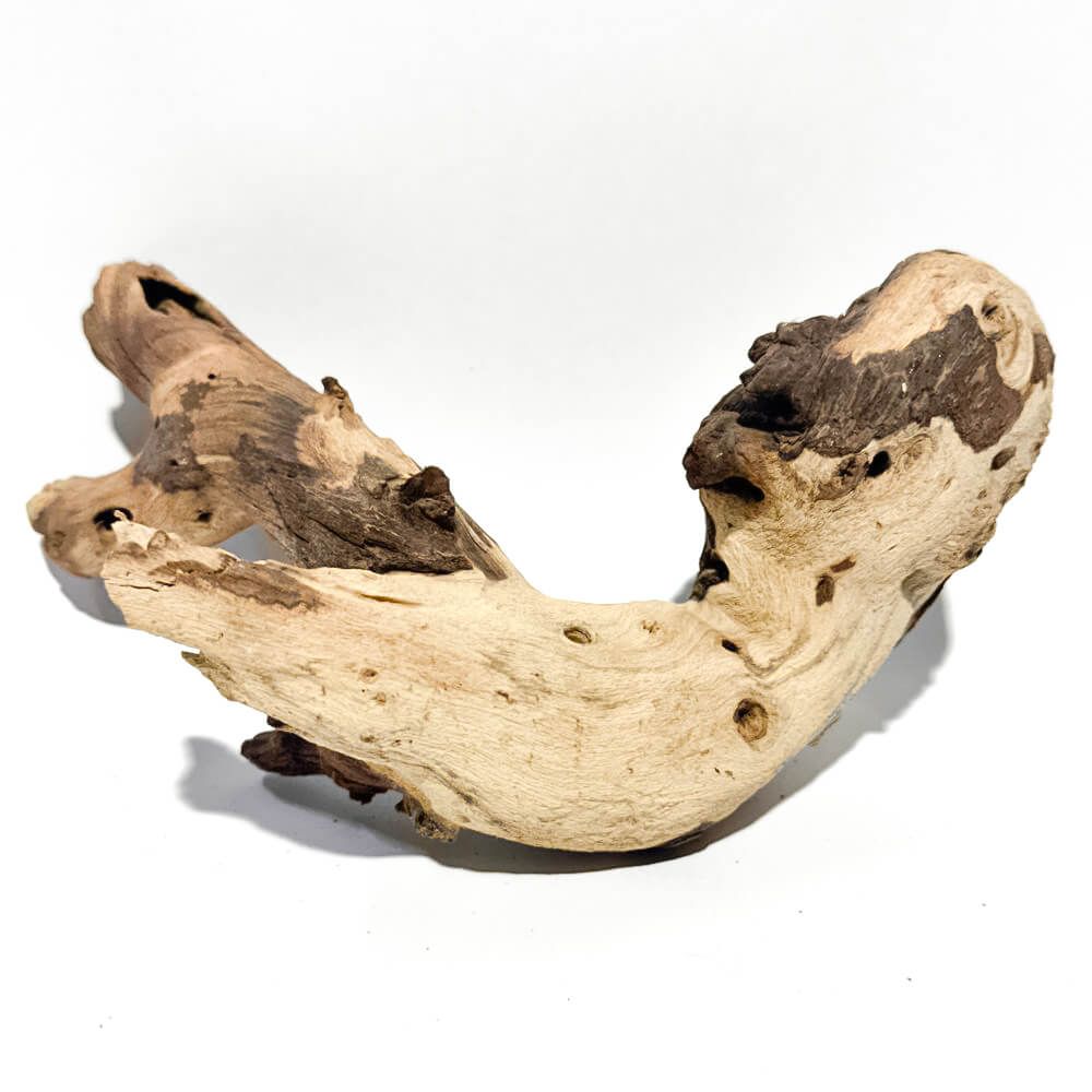 Lemn mopani decorativ acvariu M8 unicat 2 Lemn mopani decorativ acvariu M8 unicat