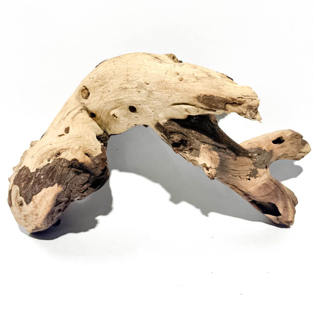 Lemn mopani decorativ acvariu M8 unicat 3 Lemn mopani decorativ acvariu M8 unicat