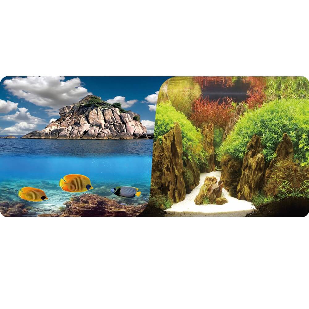 Wallpaper acvariu cu pesti dublu fata 30×100cm 3 Imagine cu pesti tropicali in fata unui fundal acvariu versatil, reprezentand un wallpaper acvariu cu pesti aplicat pe folie fundal acvariu; autocolant acvariu 3d, poster acvariu si colant acvariu contribuie la un decor viu si plin de culoare.
