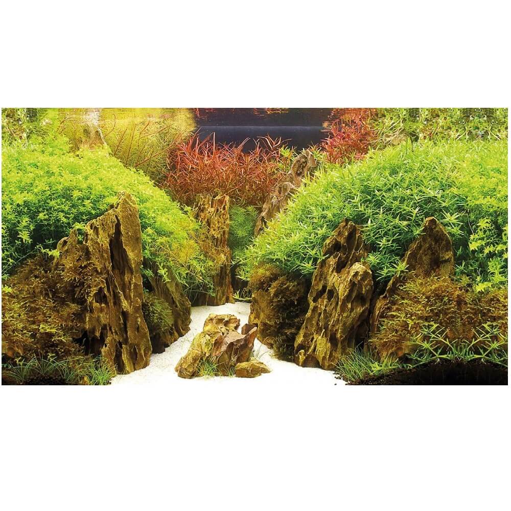 Wallpaper acvariu cu pesti dublu fata 30×100cm 2 Stanci si muschi subacvatici redate ca wallpaper acvariu cu pesti, puse in valoare de un fundal acvariu dublu fata; aceasta folie fundal acvariu se asociaza perfect cu autocolant acvariu 3d, poster acvariu si colant acvariu pentru un efect spectaculos.