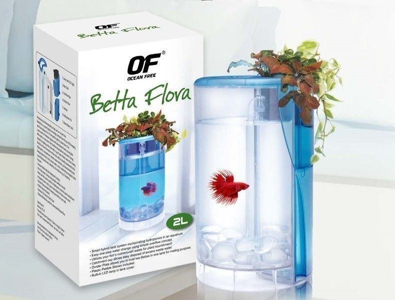 Acvariu Betta Flora Culoare alba 4 Acvariu Betta Flora Culoare alba