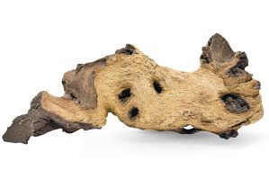 Lemn mopani acvariu tropical model M9