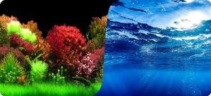 Tapet acvariu cu 2 fețe 40 cm X 100 cm model landscape olandez & albastru deep marin