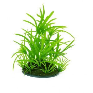 Iarba artificiala acvariu Lilaopsis – verde crud, impact vizual maxim; plante artificiale decorative ce imita Lilaopsis brasiliensis, plante artificiale usor de montat, zero alge, ideale pentru refugiu alevini si creveti, mentinand apa clara.