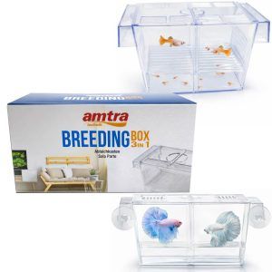 Maternitate pesti acvariu 3 in 1: box maternitate acvariu + incubator acvariu; vezi maternitate pesti pret si comanda rapid.