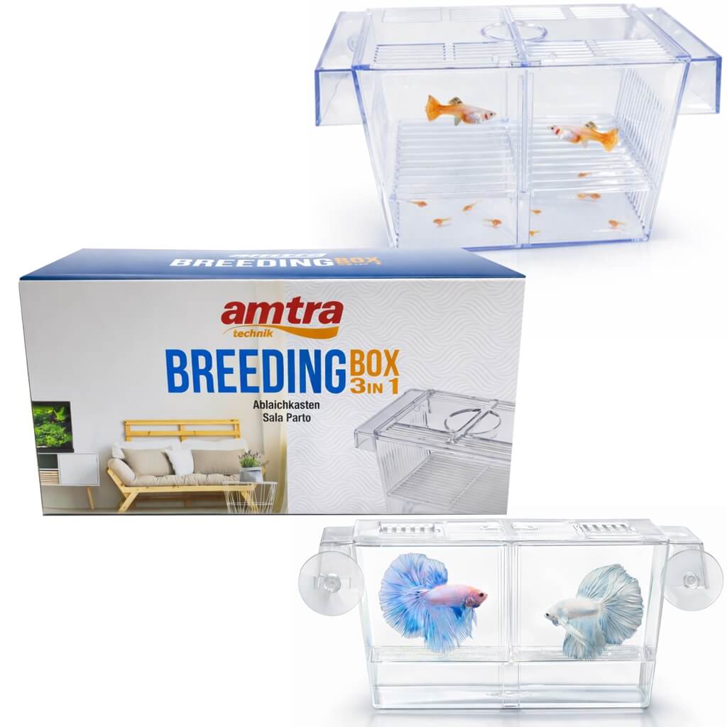 Maternitate pesti acvariu 3 in 1 Amtra cu capac L 1 Maternitate pesti acvariu 3 in 1: box maternitate acvariu + incubator acvariu; vezi maternitate pesti pret si comanda rapid.