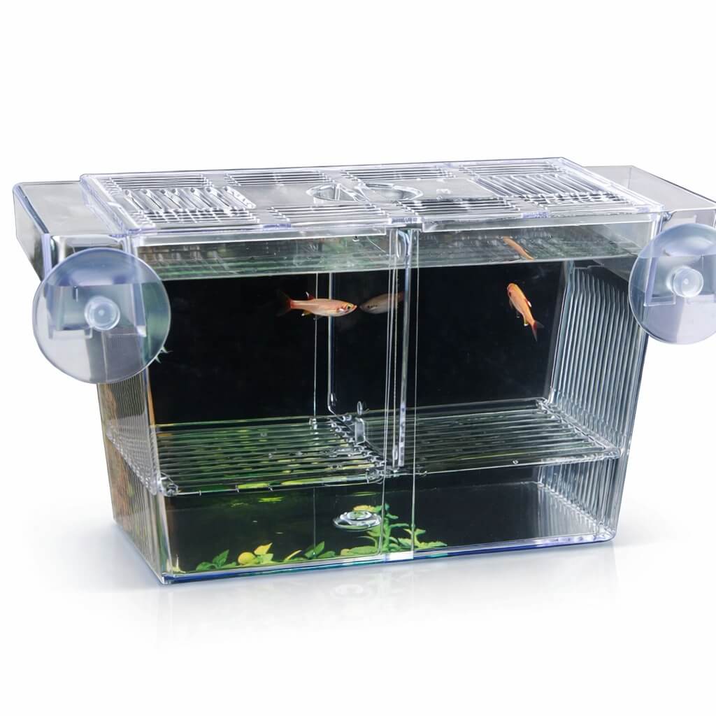 Maternitate pesti acvariu 3 in 1 Amtra cu capac L 3 Maternitate pesti acvariu 3 in 1 pentru fatare sigura: box maternitate acvariu, incubator acvariu; avantaj bun la maternitate pesti pret.