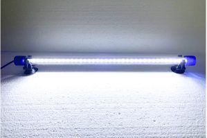 Dispozitiv 36 leduri iluminare acvariu 40 cm: lampa LED pentru acvarii, sistem iluminat LED, produse iluminat acvariu, iluminare diverse spatii. Dispozitiv cu 36 leduri pentru iluminare acvariu de culoare alba. Unul dintre putinele produse de iluminat ce emite o lumina clara ce penetreaza foarte bine apa. Consumul scazut de energie electrica este un avantaj al acestui sistem de iluminat cu leduri. Unul din cele mai bune produse iluminat acvariu ce imbunatateste instant aspectul acvariului prin adăugarea de lumina suplimentara ce va fi focalizata direct pe plante sau ornamente. Sistem de iluminare cu 36 leduri. Culoare: ALB DAYLIGHT. Lungimea cablului de alimentare = 117 cm. Lampa LED ce constituie solutia optima de a suplimenta lumina in acvariu sau de a inlocui vechiul sistem de iluminare. Gata de a fi pusa in functiune. Vine echipata cu intreaga instalatie electrica. Ventuze pentru sistemul de prindere pe geam incluse. Dispozitivul cu 36 leduri pentru iluminare acvariu de 40 cm este un produs de iluminat ideal pentru orice pasionat de acvaristica. Acest sistem iluminat LED ofera o lumina clara si intensa, de culoare alba, care patrunde eficient in apa, imbunatatind vizibilitatea si aspectul acvariului. Perfect pentru iluminarea plantelor acvatice si a ornamentelor, acest dispozitiv LED ajuta la evidentierea detaliilor si la crearea unui mediu vibrant in acvariu. Caracteristici: 36 leduri albe de inalta luminozitate: Lampa LED ce ofera un iluminat puternic si uniform, cu un consum minim de energie. Lungime 40 cm: Dimensiunea ideala pentru acvarii de diferite dimensiuni, asigurand o acoperire luminoasa eficienta. Lampa are un diametru de 18 mm. Consum redus: Cu un consum de doar 2W, acest sistem de iluminat LED este atat eficient din punct de vedere energetic, cat si economic. Durata mare de viata: LED-urile de ultima generatie sunt concepute pentru a rezista in timp, oferind un iluminat constant si de calitate. Beneficii: Iluminare superioara: Imbunatateste instant aspectul acvariului, oferind o lumina clara si naturala care pune in evidenta frumusetea plantelor si a pestilor. Versatilitate: Poate fi utilizat atat deasupra acvariului, cat si sub apa, creand un efect de iluminare spectaculos. Instalare usoara: Dispozitivul vine complet echipat, gata de utilizare, si include ventuze pentru fixare pe geam, facilitand montajul rapid. Aplicatii: Acvarii: Ideal pentru orice tip de acvariu, oferind o iluminare de calitate care sustine dezvoltarea plantelor si sanatatea pestilor. Iazuri si fantani arteziene: Poate fi utilizat pentru iluminarea nocturna a iazurilor sau fantanilor, adaugand un element decorativ spectaculos. Iluminare diverse spatii: Dispozitivul poate fi folosit si pentru alte aplicatii, cum ar fi iluminarea de rafturi, gradini sau spatii exterioare, oferind o solutie de iluminat LED eficienta si de incredere. Acest dispozitiv de iluminare este o alegere excelenta pentru cei care doresc sa imbunatateasca vizual acvariul sau alte spatii, oferind o solutie durabila, economica si usor de utilizat.
