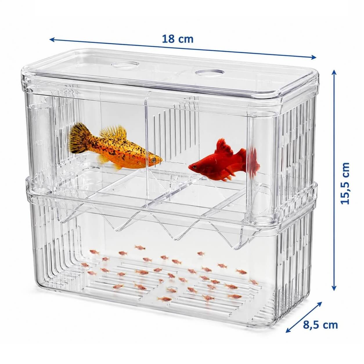 Fatatoare si separator pesti in V marime XL 1 Fatatoare si separator pesti in V XL, 18 x 8,5 x 15,5 cm, cu doua compartimente si zona pentru puiet