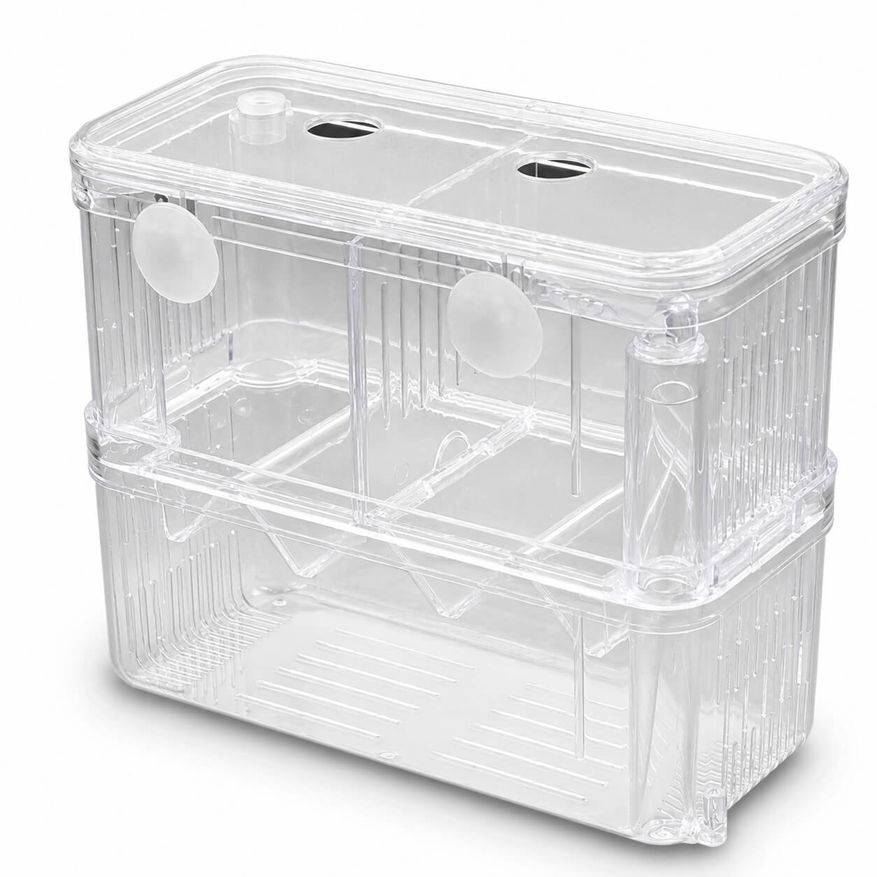 Fatatoare si separator pesti in V marime XL 2 Maternitate pesti XL transparenta, cu doua compartimente, ventuze si separatoare in V