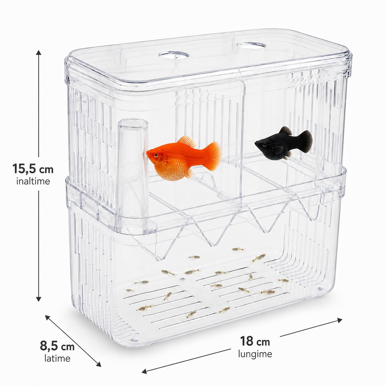 Fatatoare si separator pesti in V marime XL 4 Separator acvariu XL cu doua compartimente pentru femele si zona inferioara pentru pui