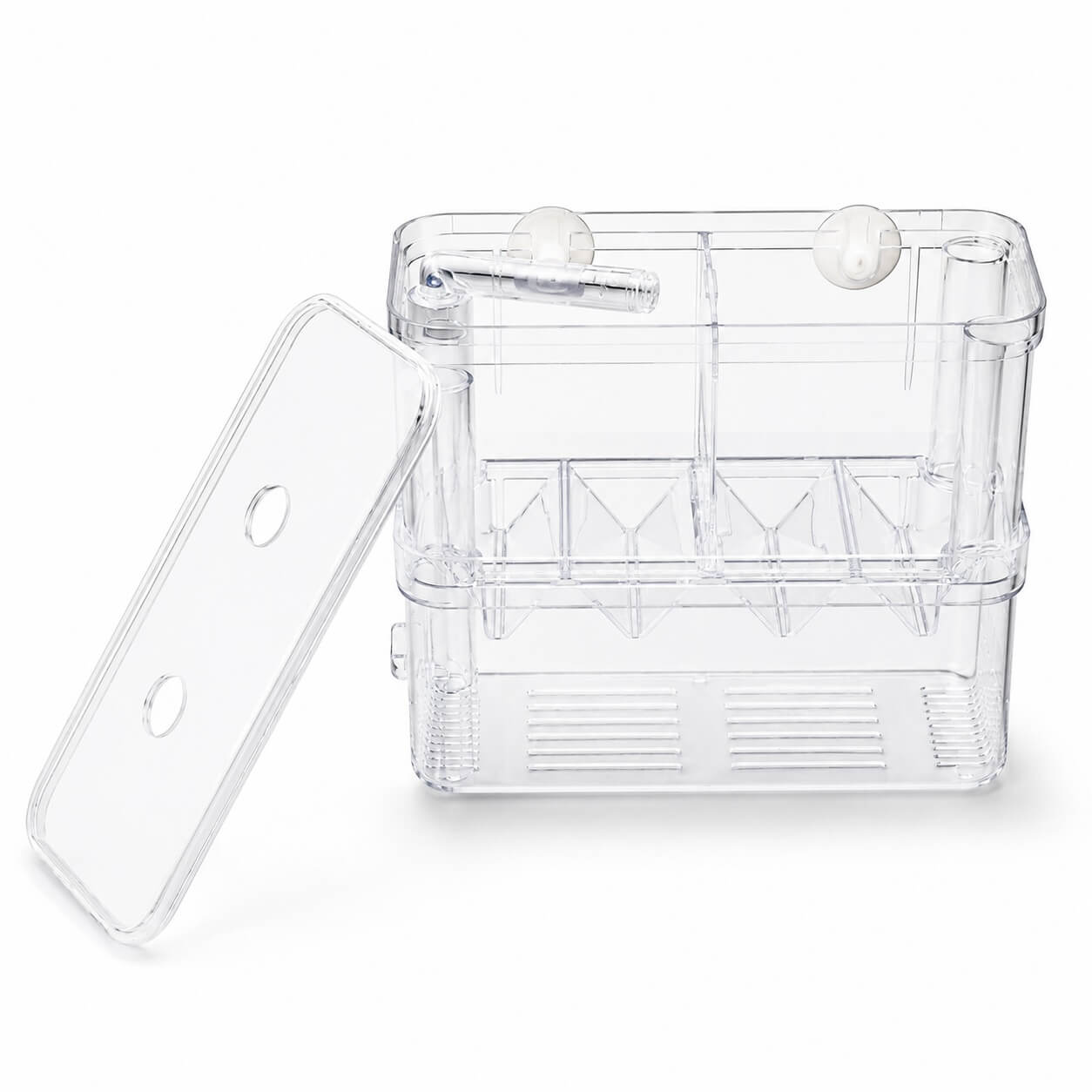 Fatatoare si separator pesti in V marime XL 5 Fatatoare si separator pesti in V XL cu capac transparent detasat