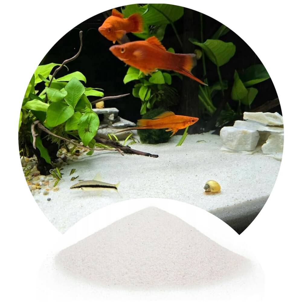 Nisip alb fin acvariu cuart 5 kg plante si pesti 6 Nisip alb fin acvariu cuart 5 kg plante si pesti - imagine 6