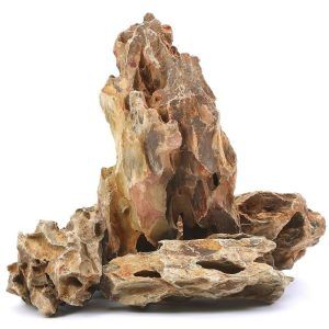 Piatra decorativa acvariu Ohko Stone ofera textura naturala si detalii realiste, fiind o roca acvariu ideala pentru compozitii aquascaping.
