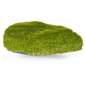 Decor roca acvariu cu moss, o piatra pentru acvariu realizista, perfectă ca decoratiune acvariu intr-un habitat autentic.