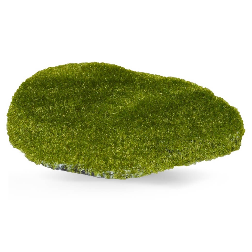 Decor roca acvariu cu moss 4 Decor roca acvariu cu moss, piatra pentru acvariu acoperita cu strat verde, ideala ca decoratiune acvariu.