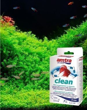 Bacterii start acvariu Amtra Clean 1 capsula