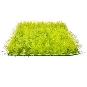 Iarba de acvariu 26x26 cm din plante acvariu artificiale, un covor verdeata artificiala vibrant pentru orice bazin. Cu frunze subtiri și un verde crud, acest decor adauga un plus de naturalete si prospetime in acvariu.