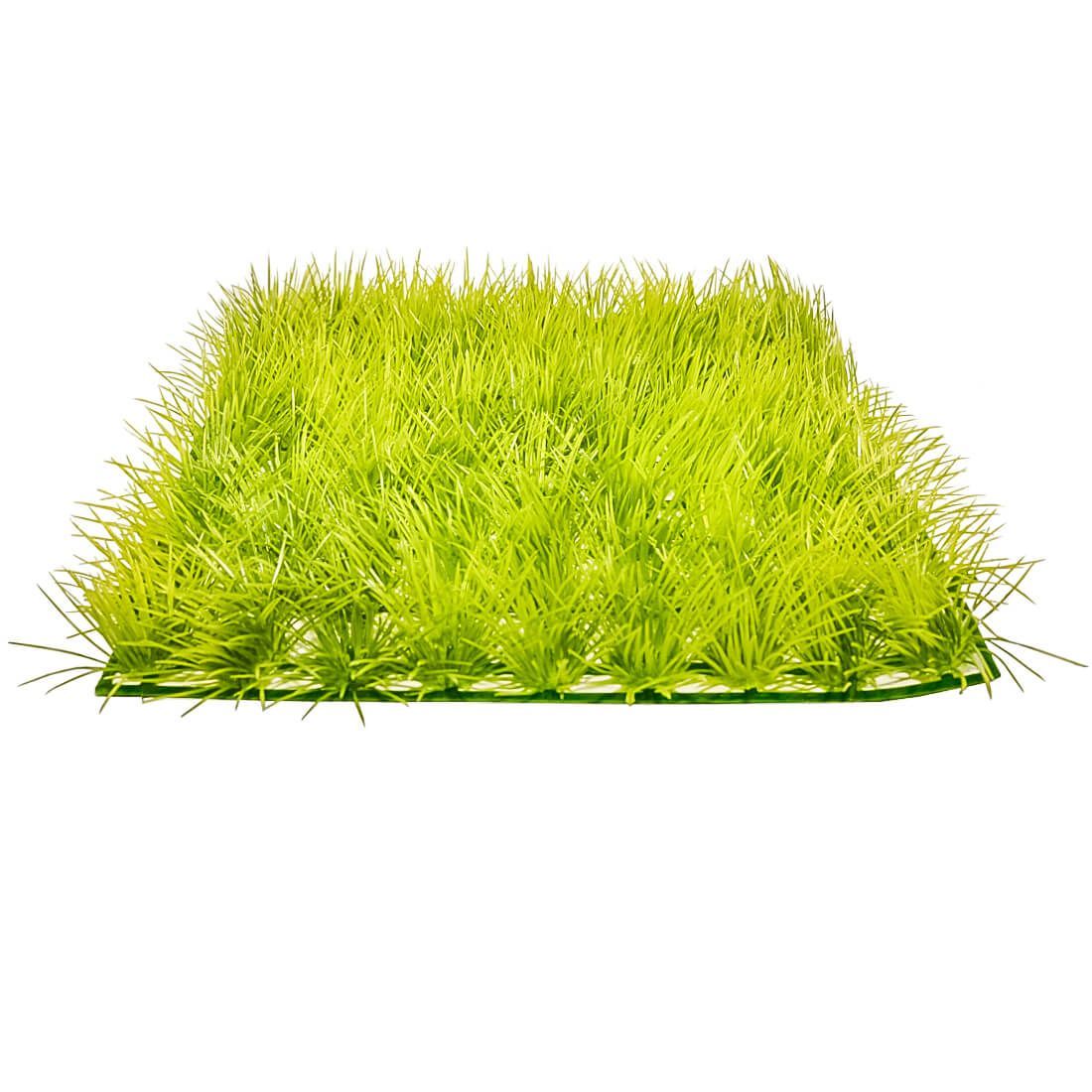 Iarba de acvariu 26X26cm covor verdeata artificiala 1 Iarba de acvariu 26x26 cm din plante acvariu artificiale, un covor verdeata artificiala vibrant pentru orice bazin. Cu frunze subtiri și un verde crud, acest decor adauga un plus de naturalete si prospetime in acvariu.