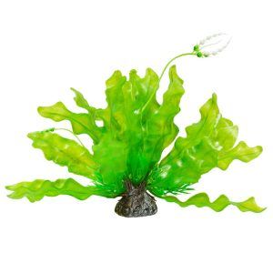 Flori ornamentale plastic Aponogeton verde 24 cm, plante artificiale vibrante si plante de acvariu ideale, aduc naturalete, stabilitate si zero mentenanta, scufundare sigura datorita bazei ceramice, perfecte pentru un aquascape curat si luminos.