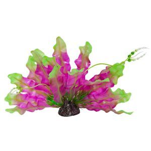 Plante exotice artificiale Aponogeton violet verde 24 cm, plante artificiale acvariu intense, planta decorativa artificiala stabila, flori de acvariu artificiale cu inflorescente albe, aduc un accent cromatic indraznet si sigur in orice acvariu.