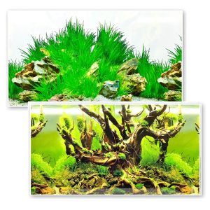 Fundal acvariu cu plante luxuriante, background acvariu realist, poster acvariu cu aspect tropical, wallpaper acvariu cu pesti in culori vii, colant acvariu conceput pentru a crea un peisaj natural si fascinant in orice rezervor de pana la 40 cm inaltime.